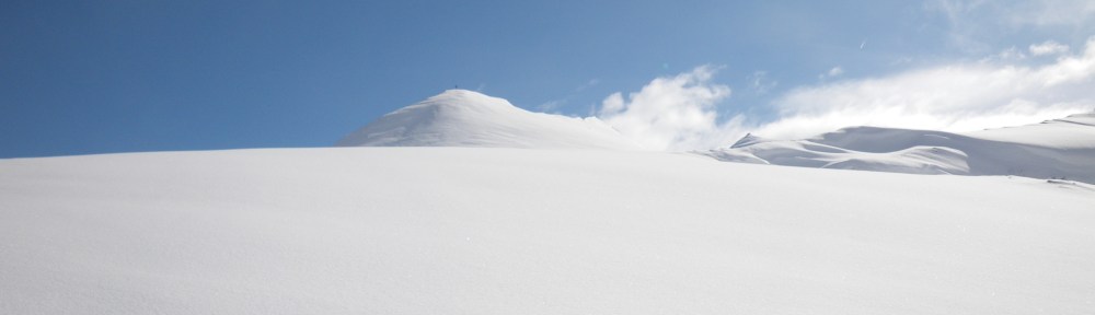 Ahorn, Mayrhofen i. Zillertal